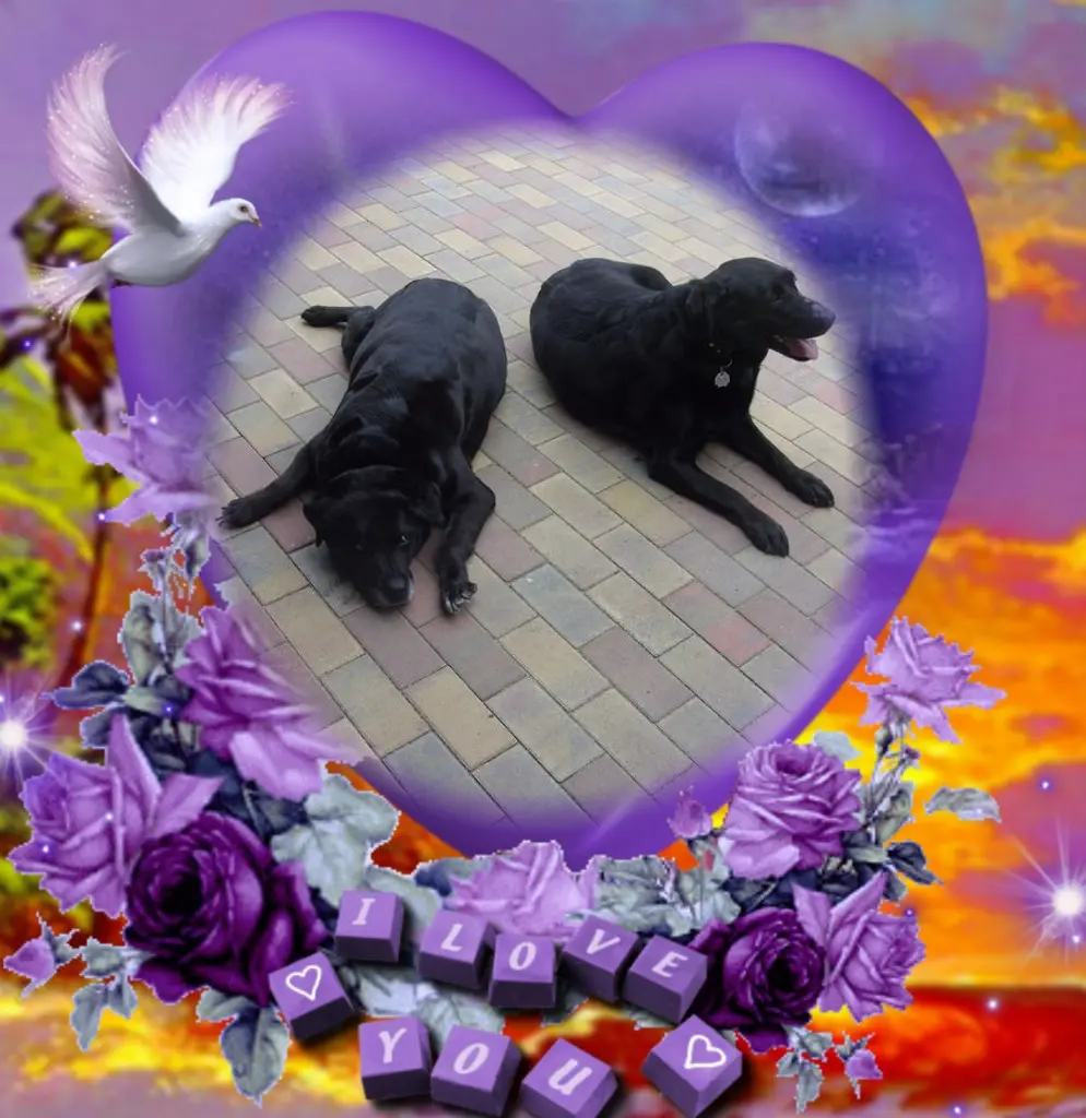 Condolence image of ❤️❤️❤️