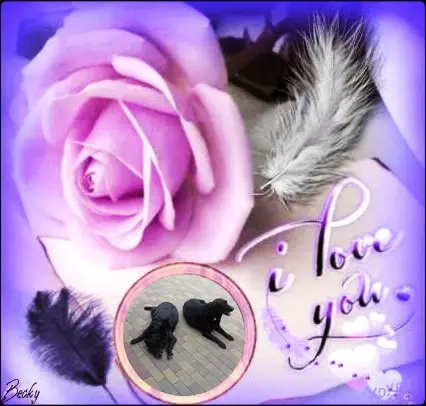 Condolence image of ❤️❤️❤️