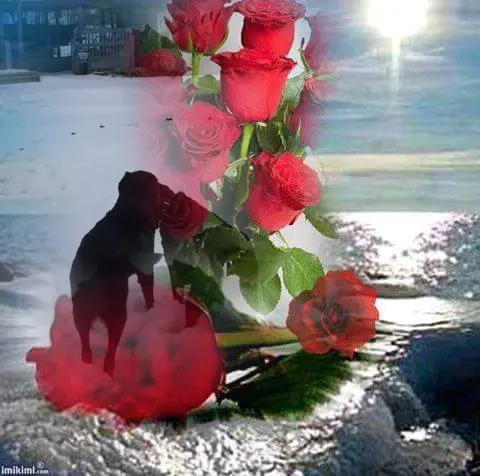 Condolence image of ❤️❤️❤️