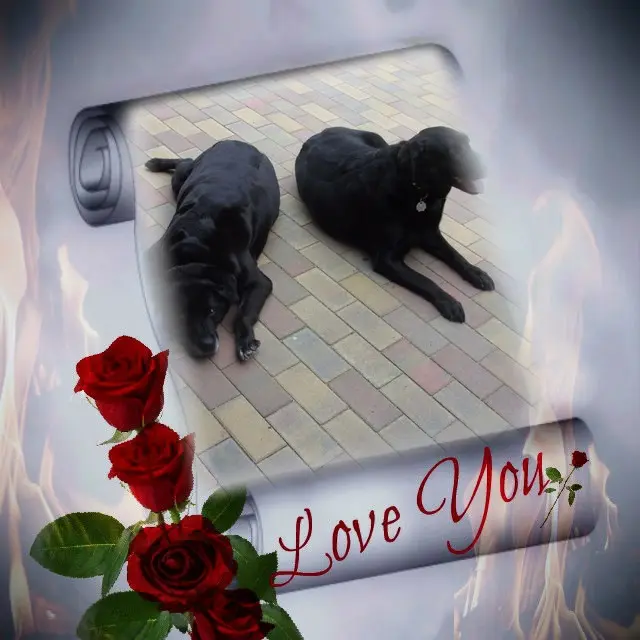 Condolence image of ❤️❤️❤️