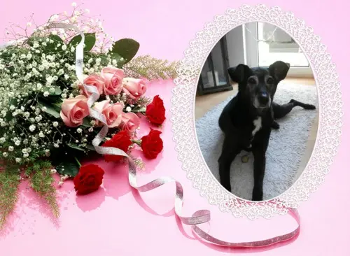 Condolence image of Unbekannt