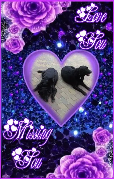 Condolence image of ❤️❤️❤️