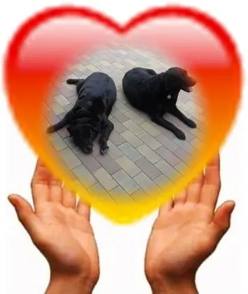 Condolence image of ❤️❤️❤️