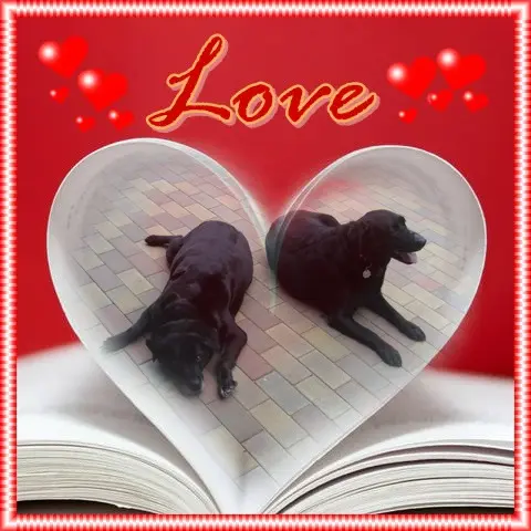 Condolence image of ❤️❤️❤️