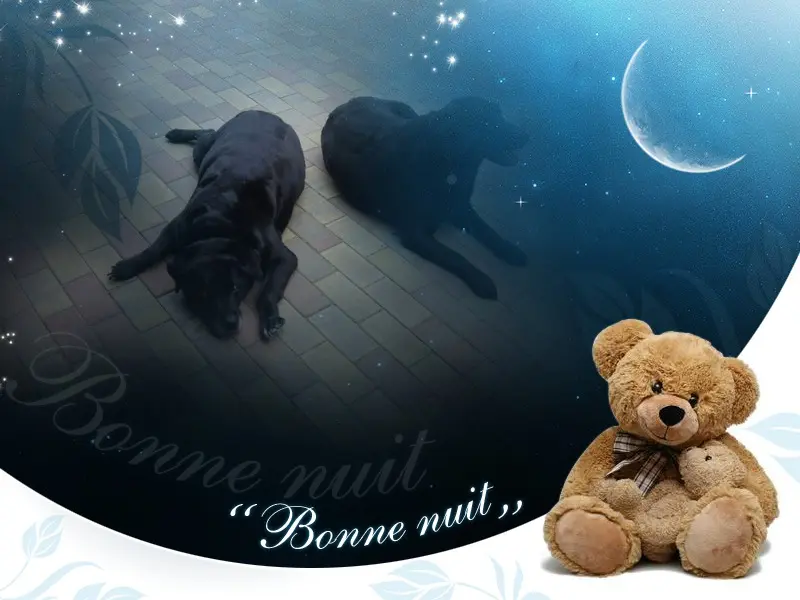 Condolence image of ❤️❤️❤️