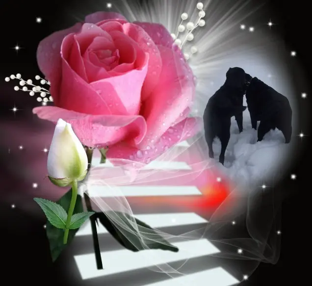 Condolence image of ❤️❤️❤️