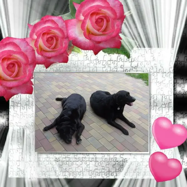 Condolence image of ❤️❤️❤️