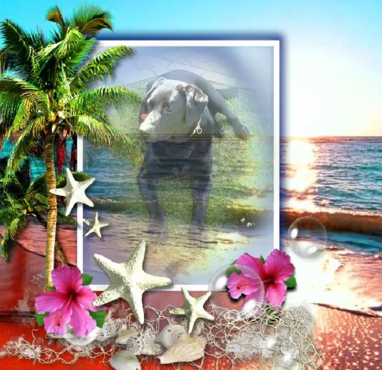 Condolence image of ❤️❤️❤️