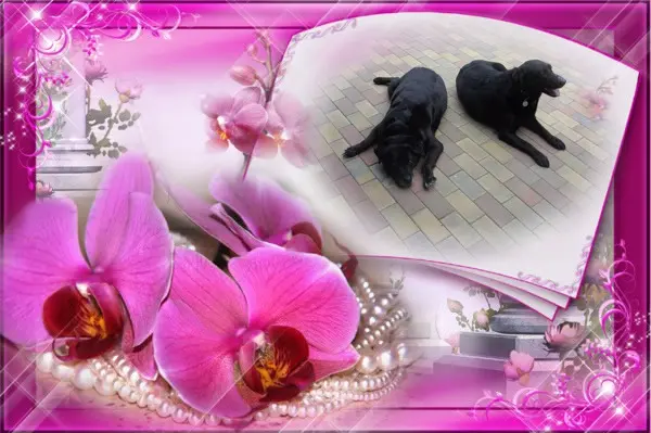 Condolence image of ❤️❤️❤️