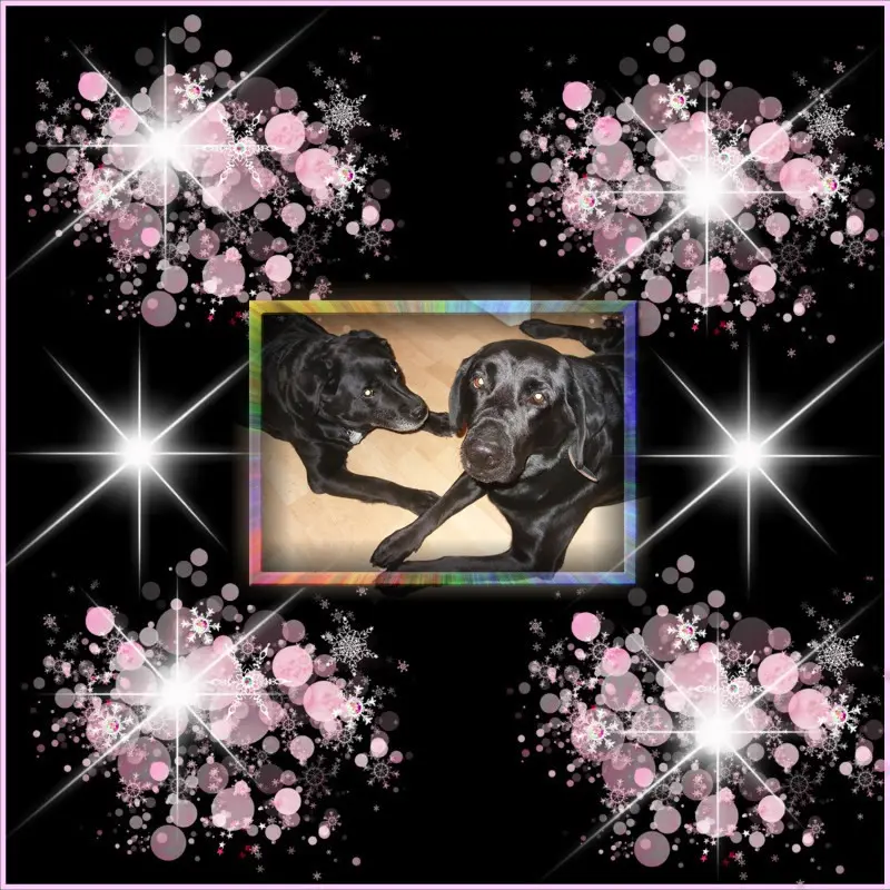 Condolence image of ❤️❤️❤️