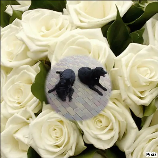 Condolence image of ❤️❤️❤️