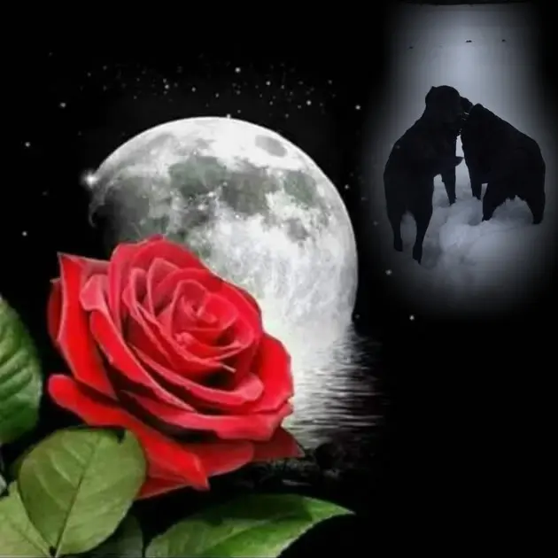 Condolence image of ❤️❤️❤️