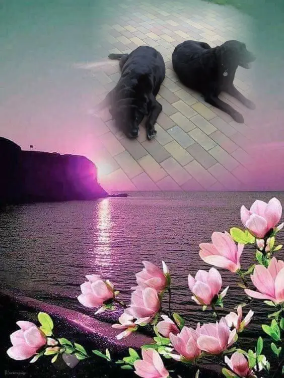 Condolence image of ❤️❤️❤️