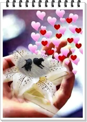 Condolence image of ❤️❤️❤️