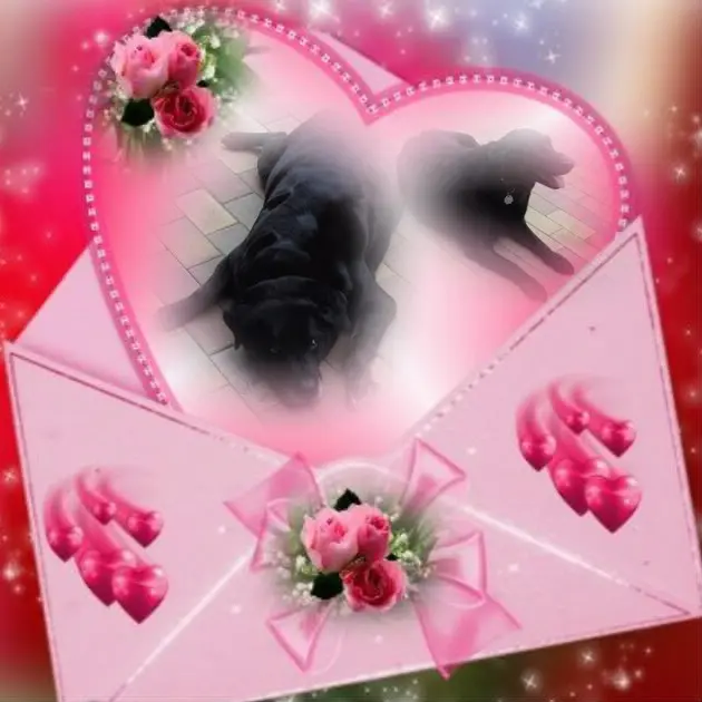 Condolence image of ❤️❤️❤️