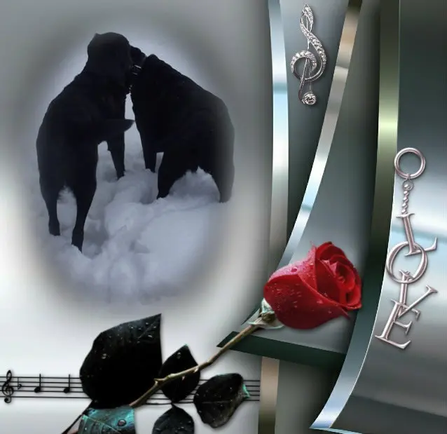 Condolence image of ❤️❤️❤️