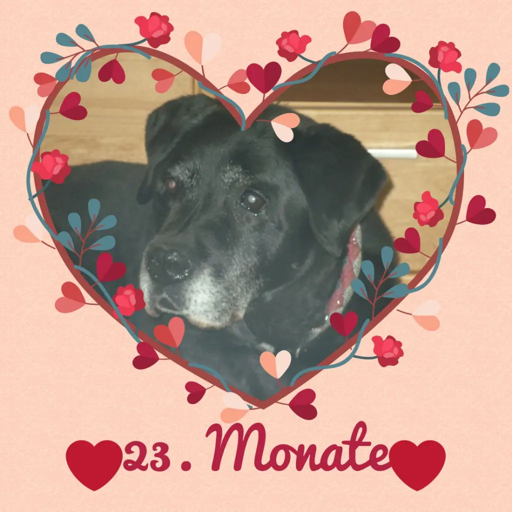 Condolence image of ❤️❤️❤️