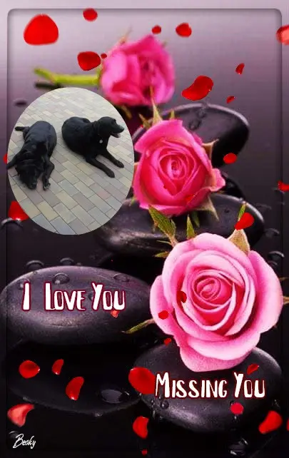 Condolence image of ❤️❤️❤️