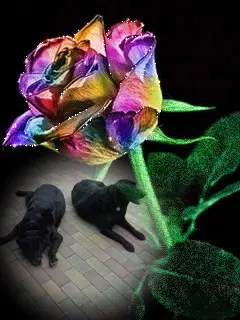 Condolence image of ❤️❤️❤️