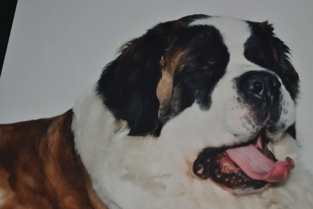 Condolence image of Brigitta