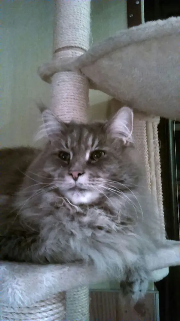 Condolence image of Ein lieber Gruß von Brigitta und♥Sam♥