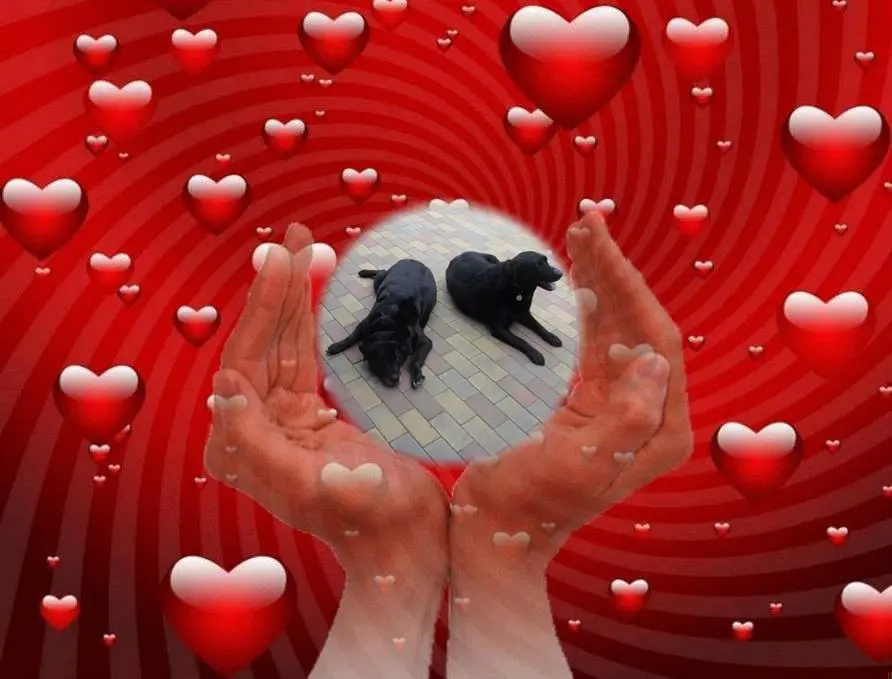 Condolence image of ❤️❤️❤️