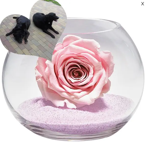 Condolence image of ❤️❤️❤️