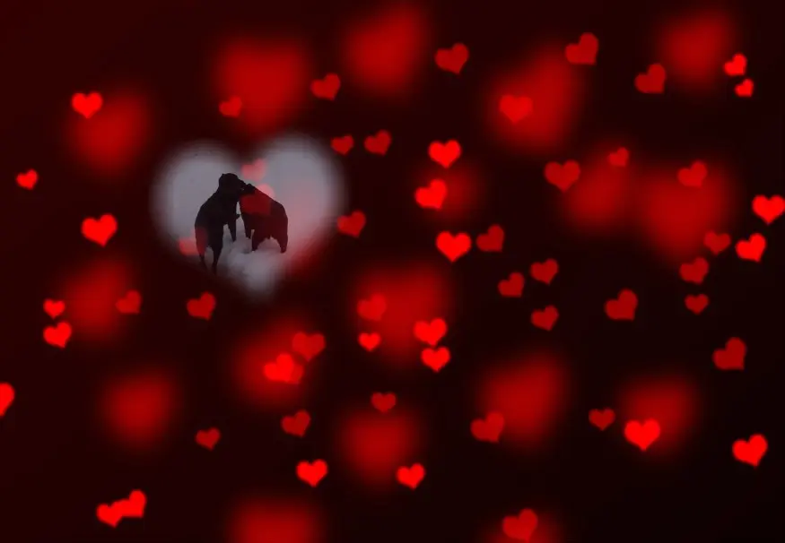 Condolence image of ❤️❤️❤️