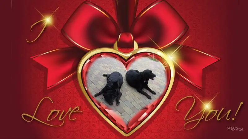 Condolence image of ❤️❤️❤️