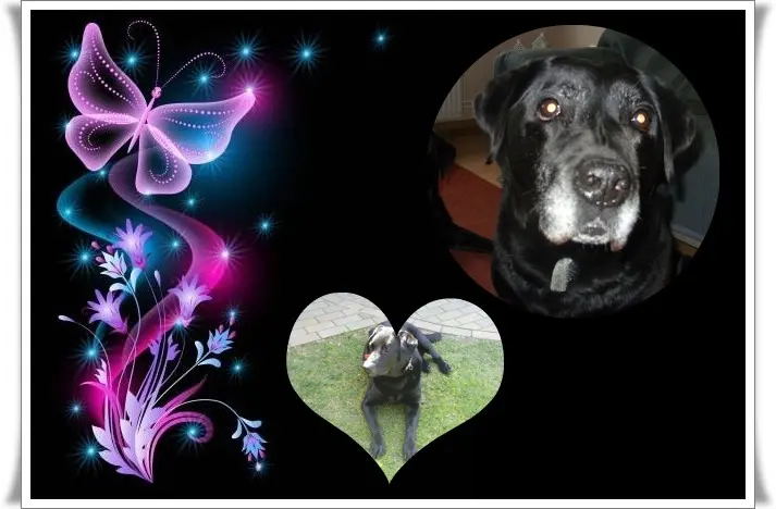 Condolence image of ❤️❤️❤️