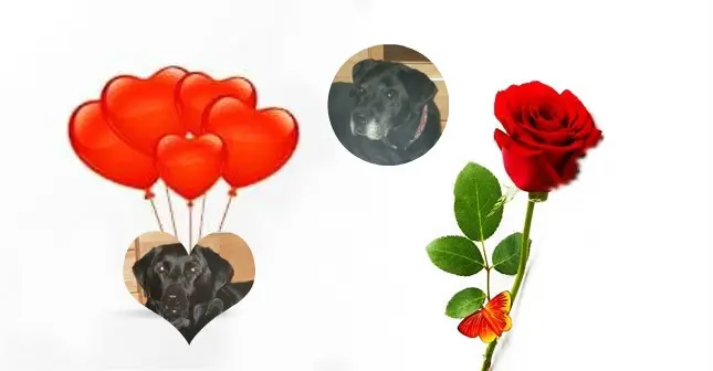 Condolence image of ❤️❤️❤️