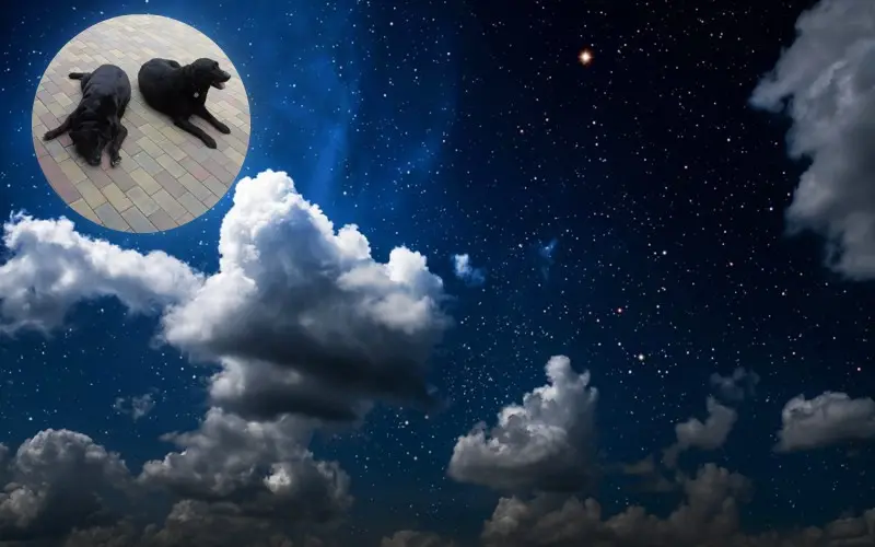 Condolence image of ❤️❤️❤️