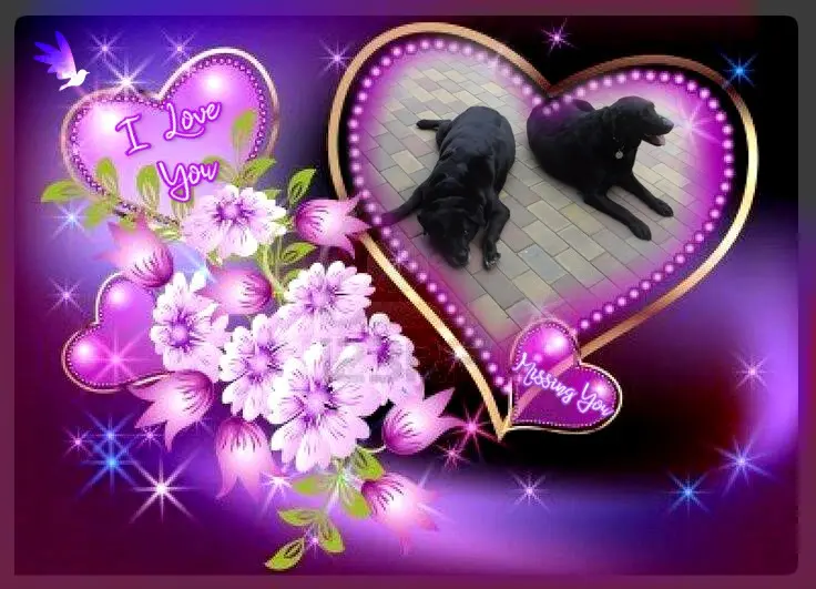 Condolence image of ❤️❤️❤️