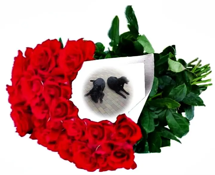 Condolence image of ❤️❤️❤️