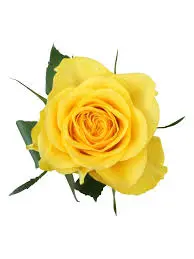 Condolence image of Brigitta