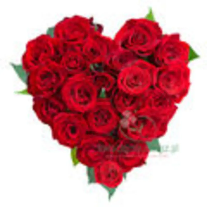 Condolence image of Unbekannt