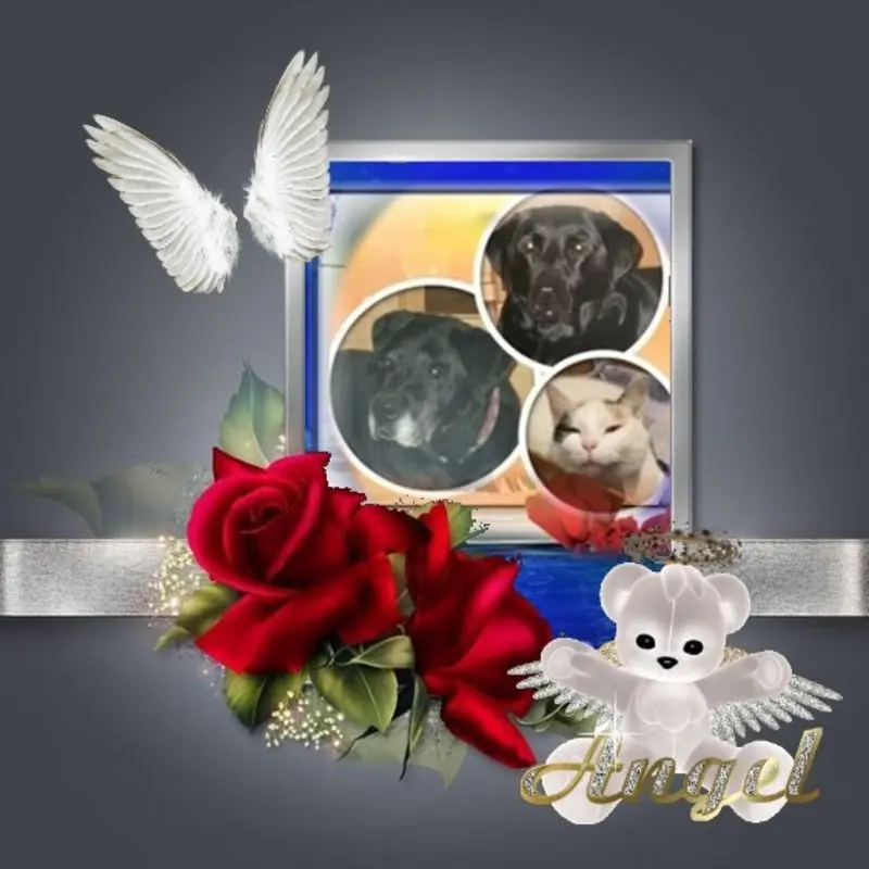 Condolence image of Gute Nacht❤️❤️❤️