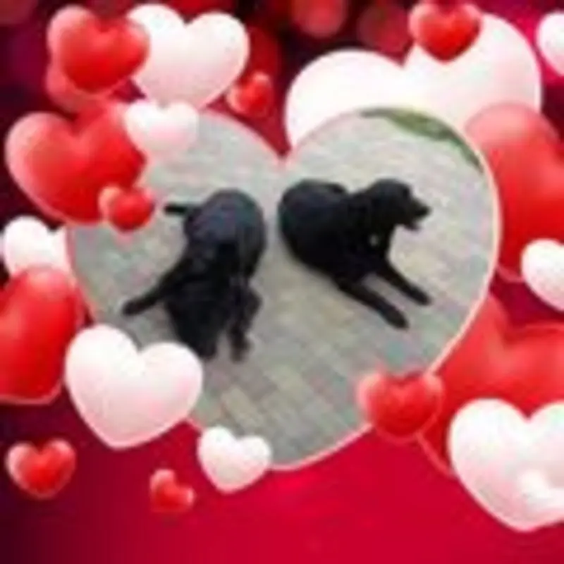 Condolence image of Unbekannt