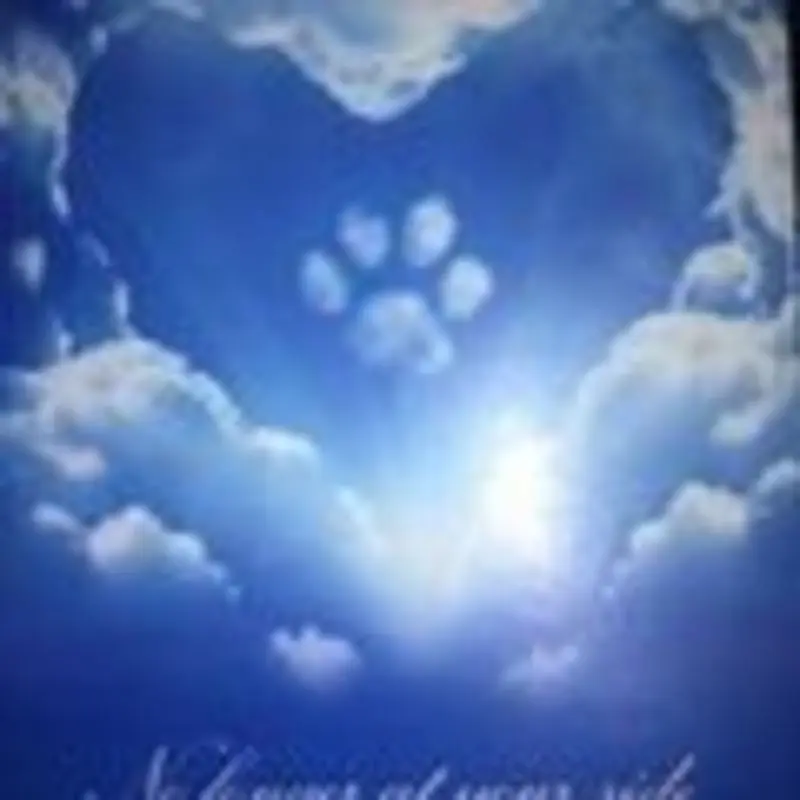 Condolence image of eurer Evy