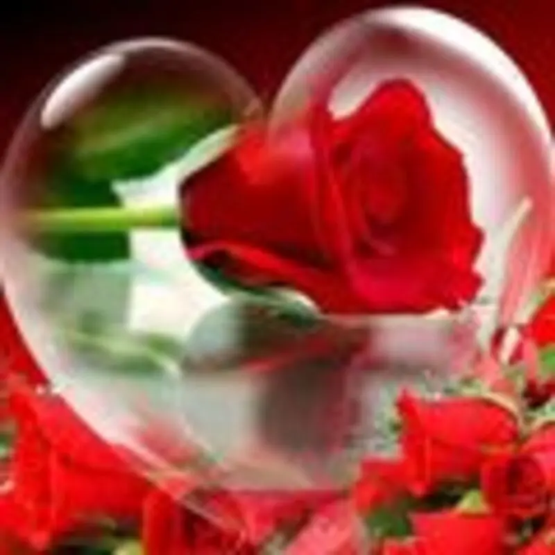 Condolence image of Evy