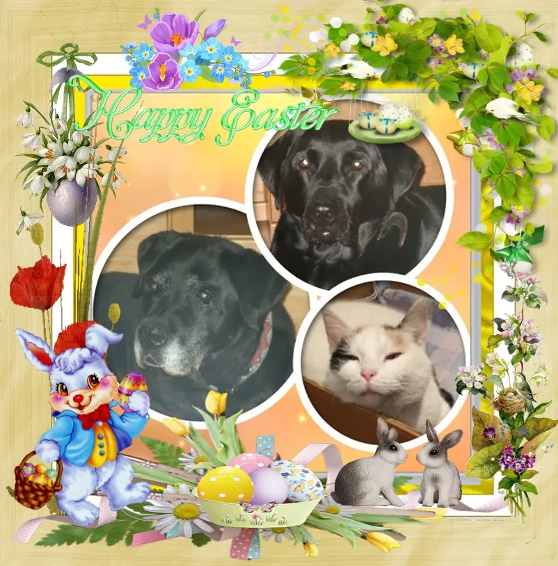 Condolence image of Schonste Samstag❤️Rosen❤️❤️❤️❤️❤️❤️❤️❤️❤️