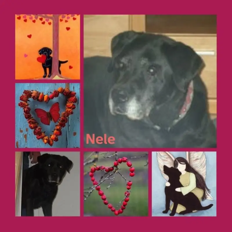 Condolence image of Unbekannt