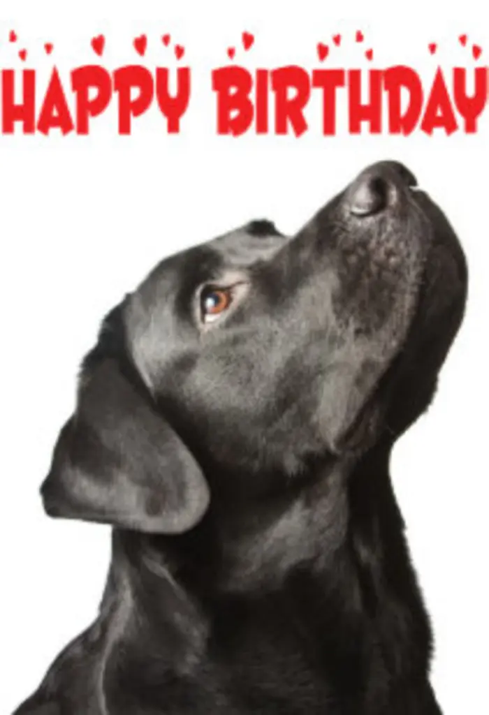 Condolence image of Unbekannt