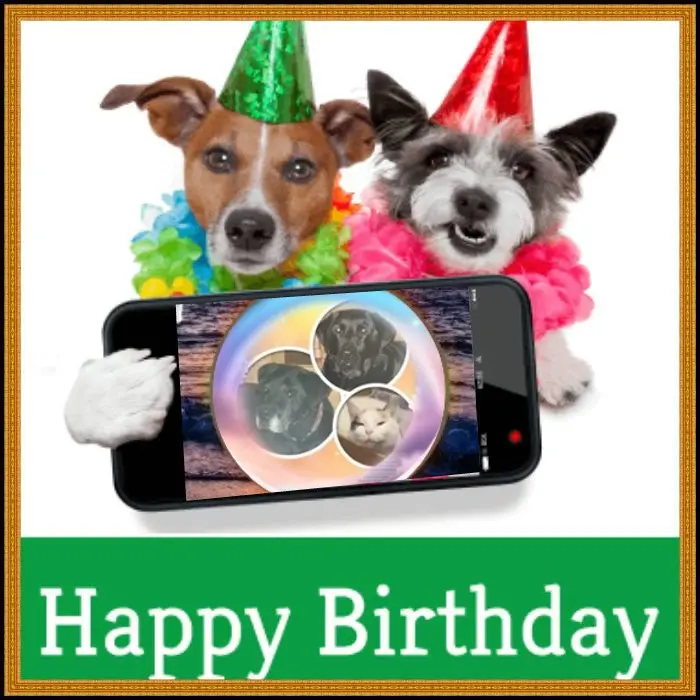 Condolence image of ❤️❤️❤️❤️❤️❤️❤️❤️❤️❤️❤️❤️