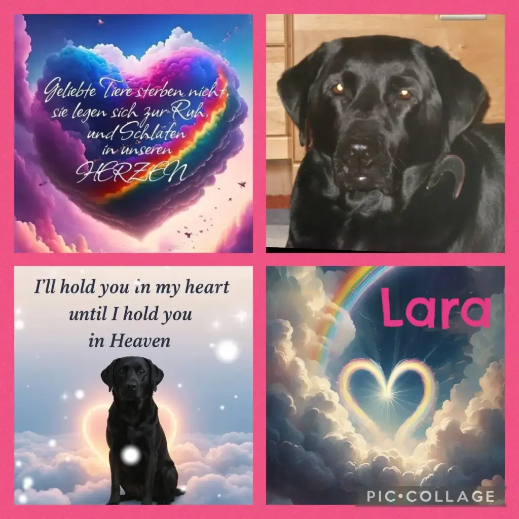 Andachtsbild von Evy und Gerald