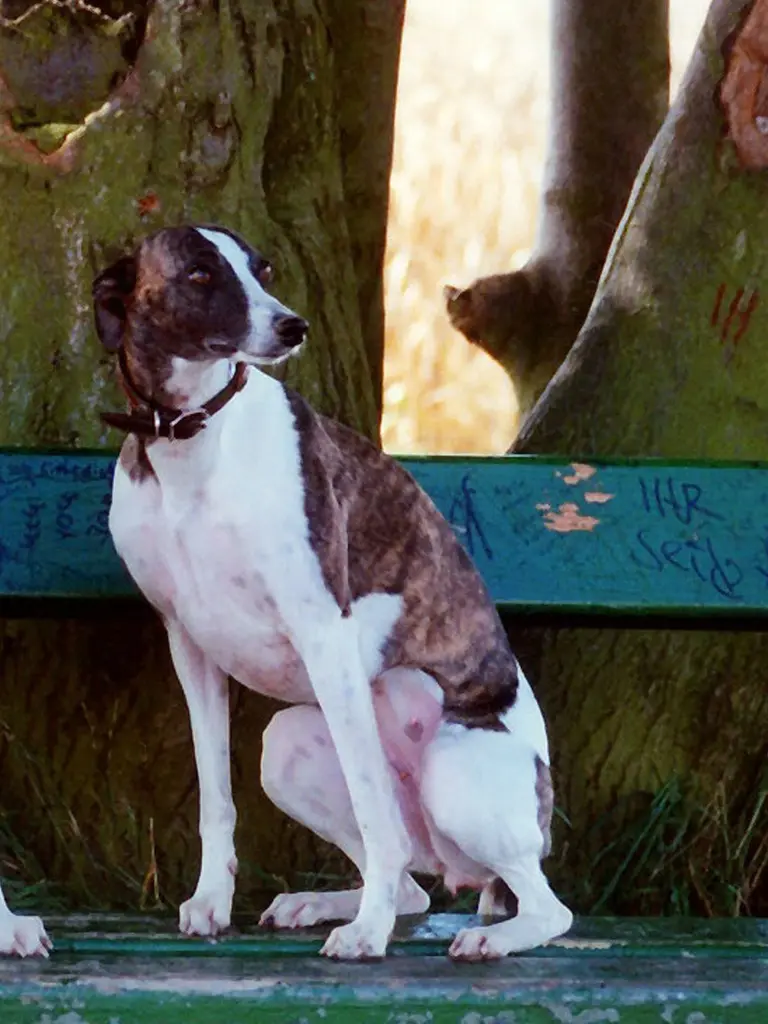 Condolence image of Alexa mit Emba