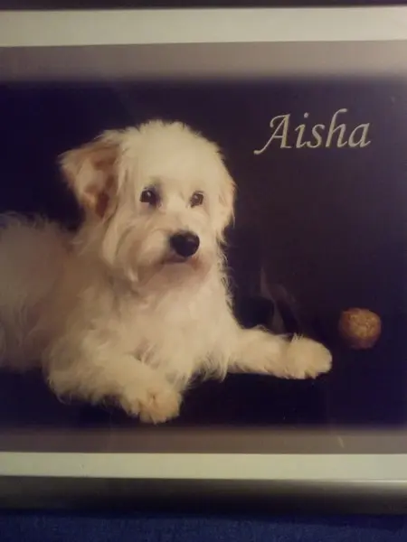 Condolence image of Sonja