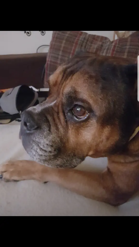 Condolence image of Alexandra