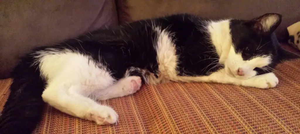 Condolence image of Ilse