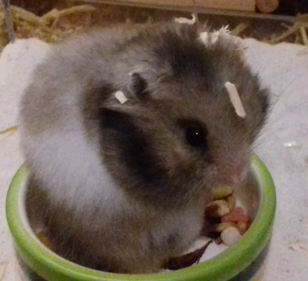 Condolence image of Atréju-Gaspar & Anna